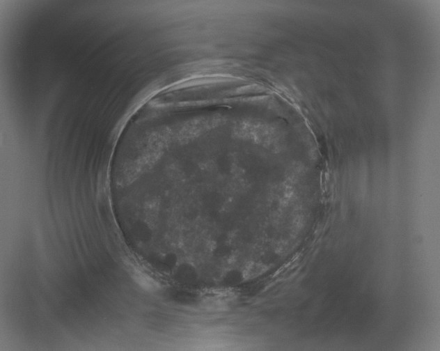 X0000082170099200702162311