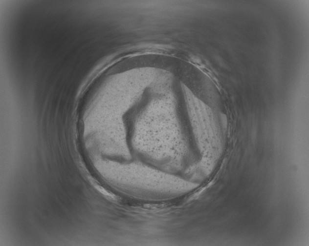 X0000082170101200702162311