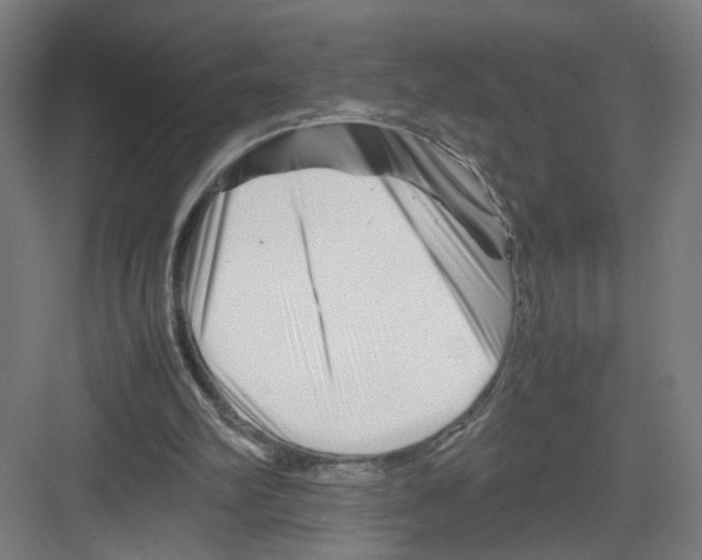 X0000082170102200702162311