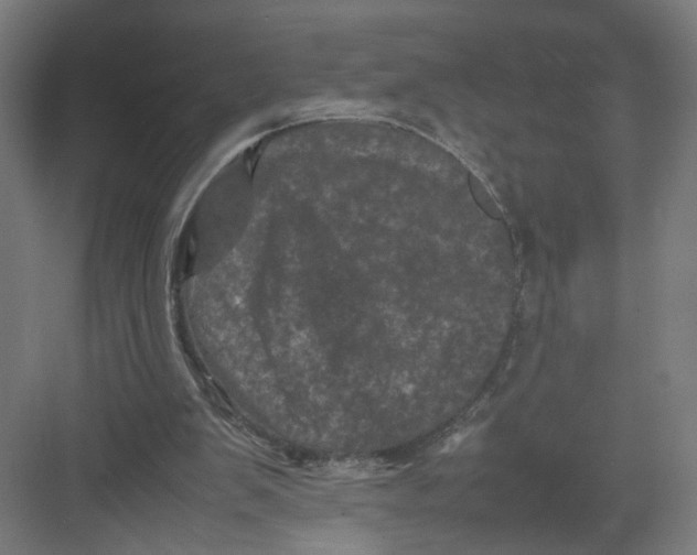 X0000082170103200702162311