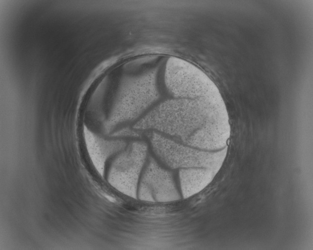 X0000082170104200702162311