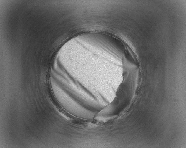 X0000082170105200702162311