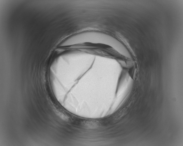 X0000082170106200702162311