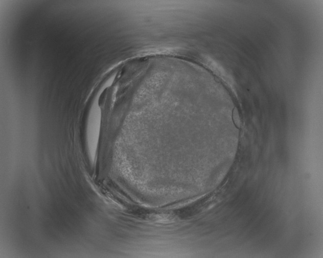 X0000082170107200702162311