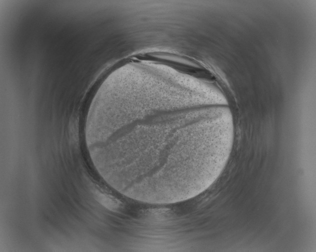 X0000082170108200702162311