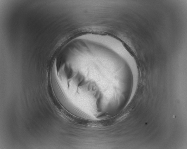 X0000082170109200702162311