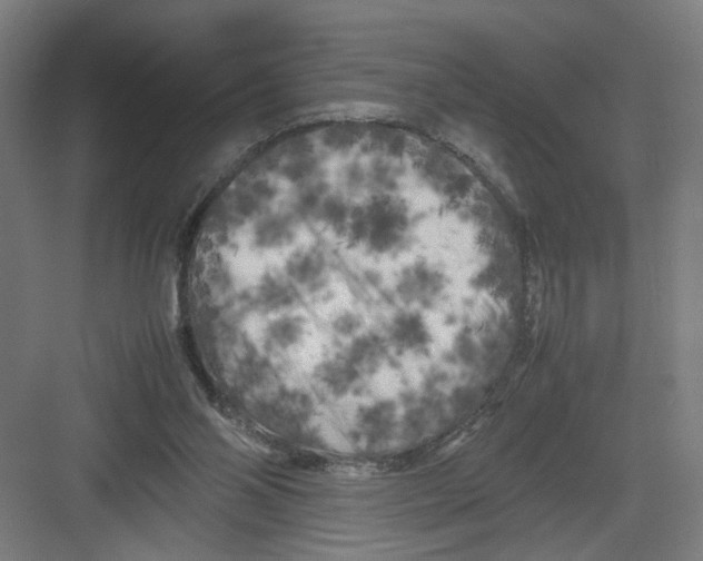 X0000082170110200702162311