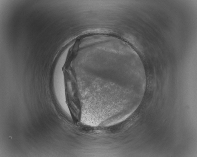 X0000082170111200702162311