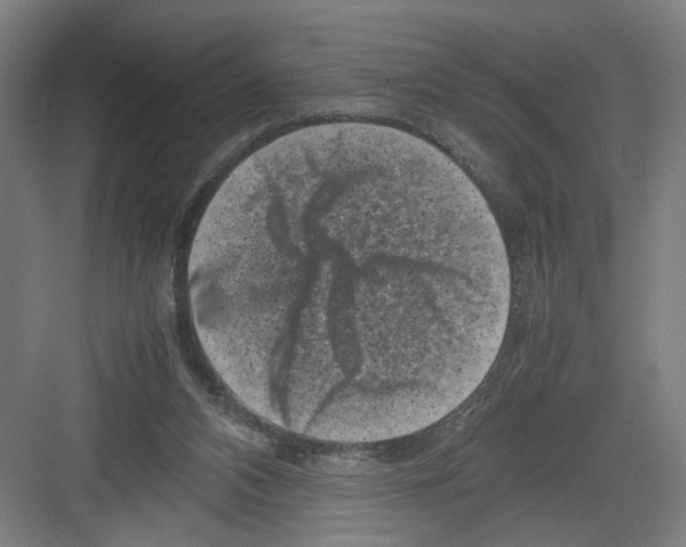 X0000082170112200702162311