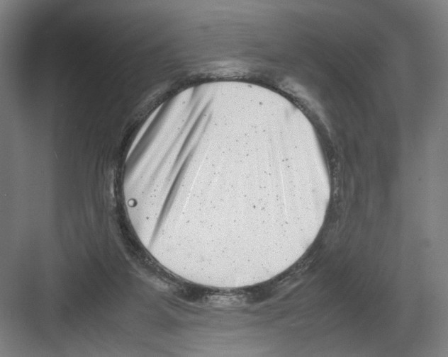 X0000082170115200702162311