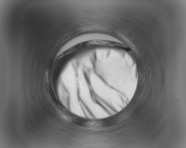 X0000082170117200702162311