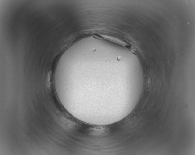 X0000082170118200702162311