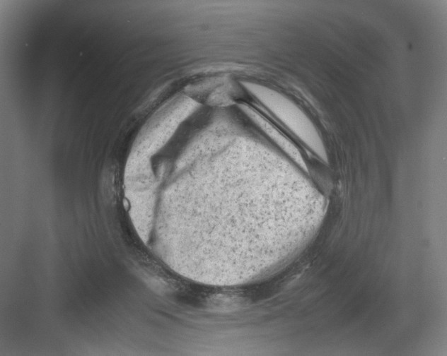 X0000082170119200702162311