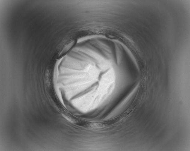 X0000082170121200702162311