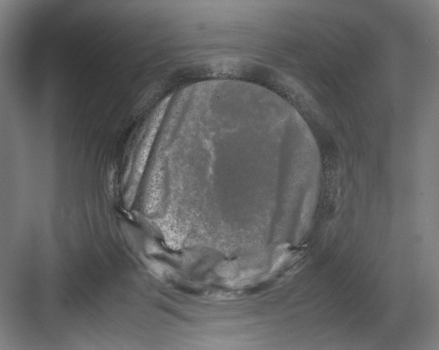 X0000082170123200702162311