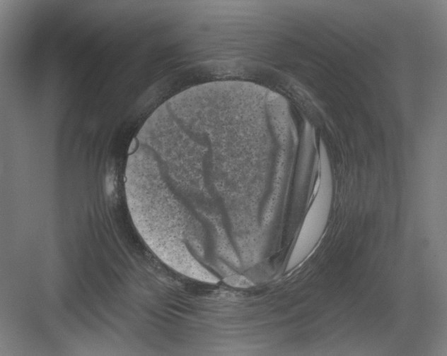 X0000082170124200702162311