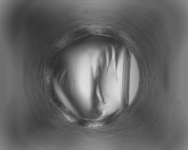 X0000082170125200702162311