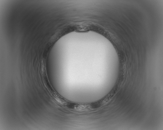 X0000082170129200702162311