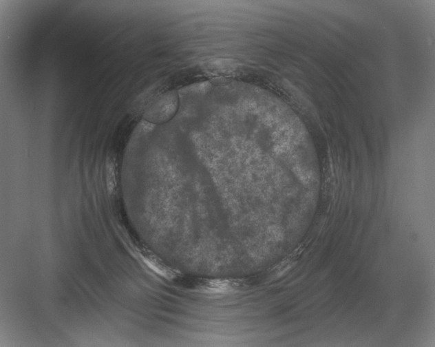 X0000082170130200702162311