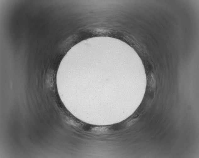 X0000082170133200702162311