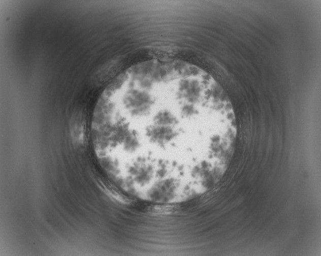 X0000082170134200702162310