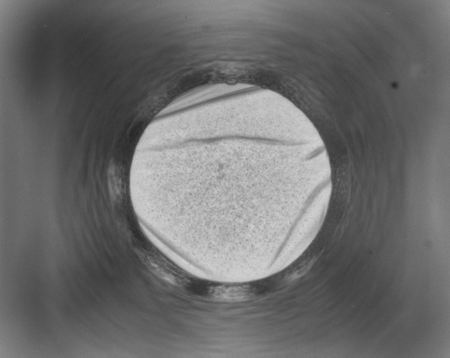 X0000082170135200702162310