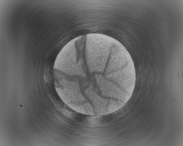 X0000082170136200702162310