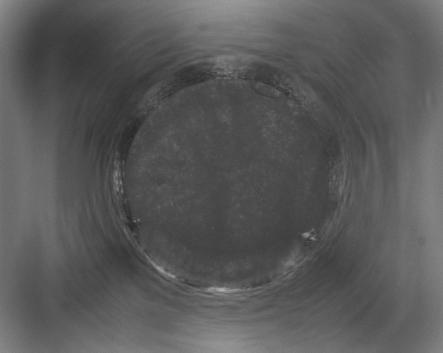 X0000082170137200702162310