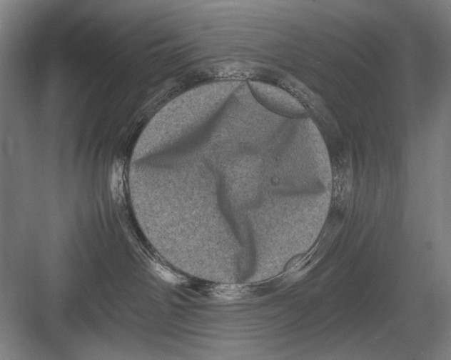 X0000082170142200702162310