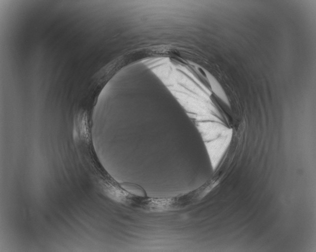 X0000082170143200702162310