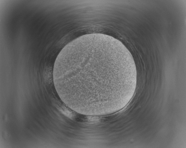 X0000082170144200702162310