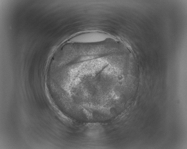 X0000082170145200702162310