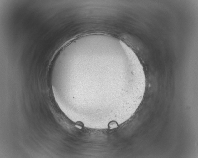 X0000082170146200702162310