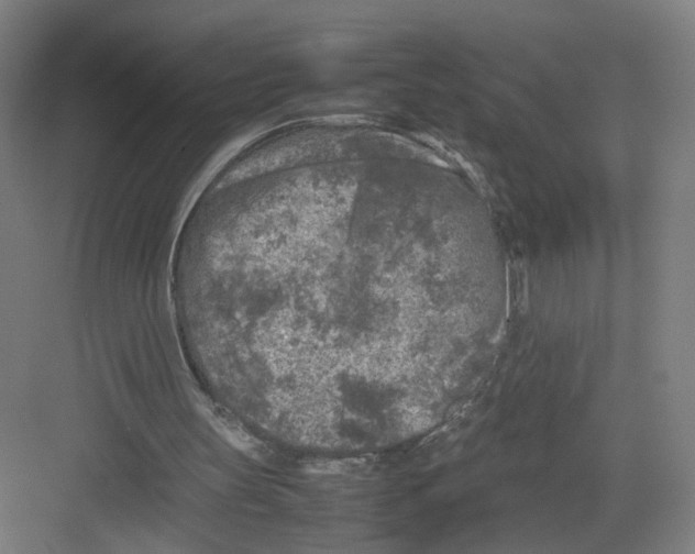 X0000082170147200702162310