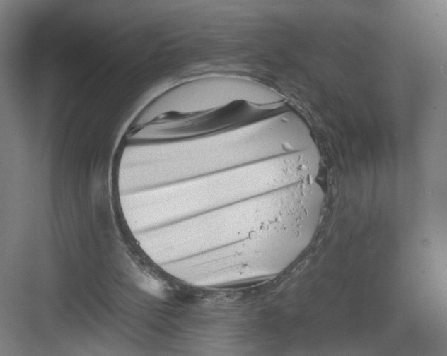 X0000082170148200702162310