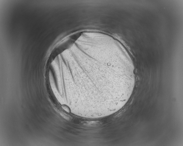 X0000082170151200702162310