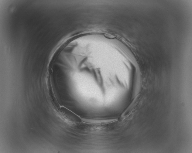 X0000082170152200702162310