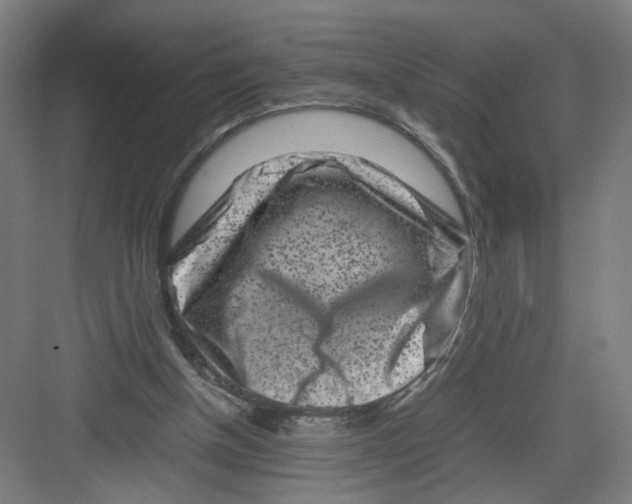 X0000082170154200702162310