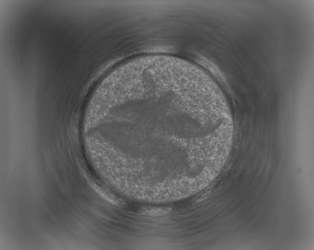 X0000082170155200702162310