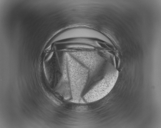 X0000082170156200702162310