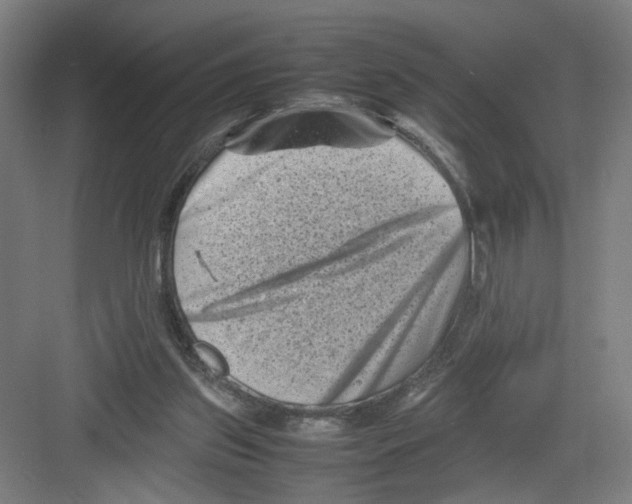 X0000082170157200702162310