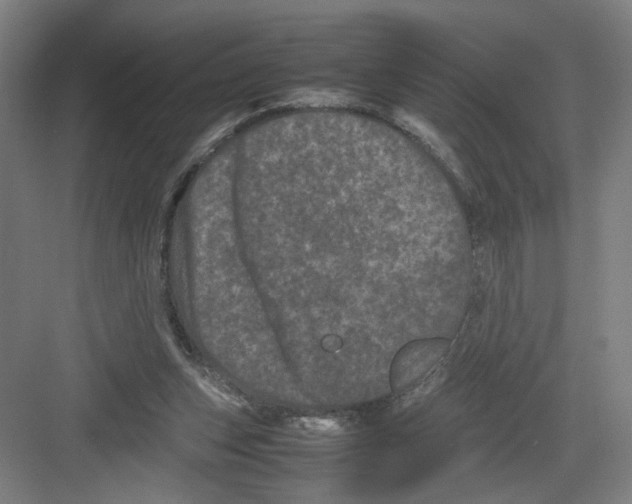 X0000082170159200702162310