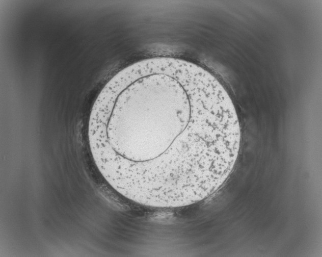 X0000082170162200702162310