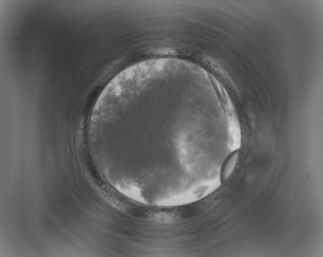 X0000082170163200702162310