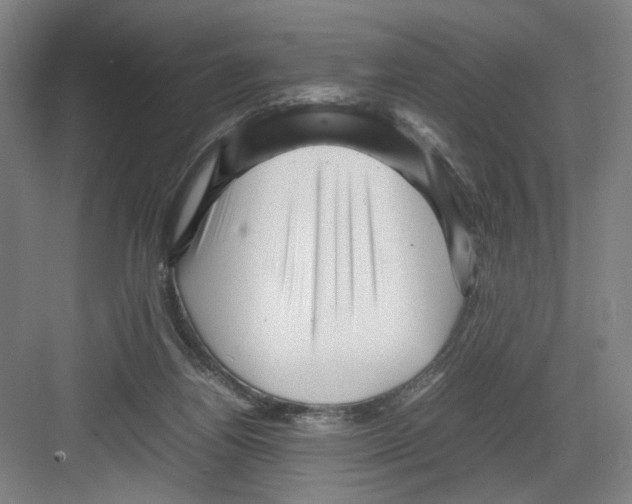 X0000082170164200702162310