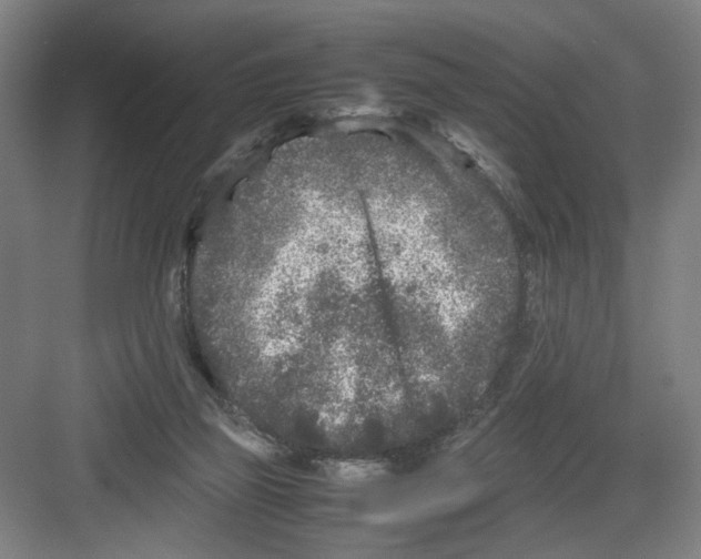 X0000082170165200702162310