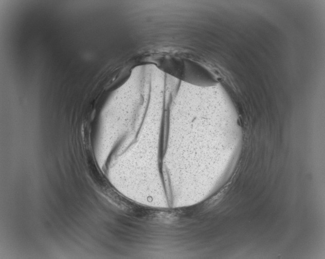 X0000082170166200702162310