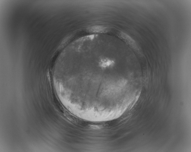 X0000082170167200702162310