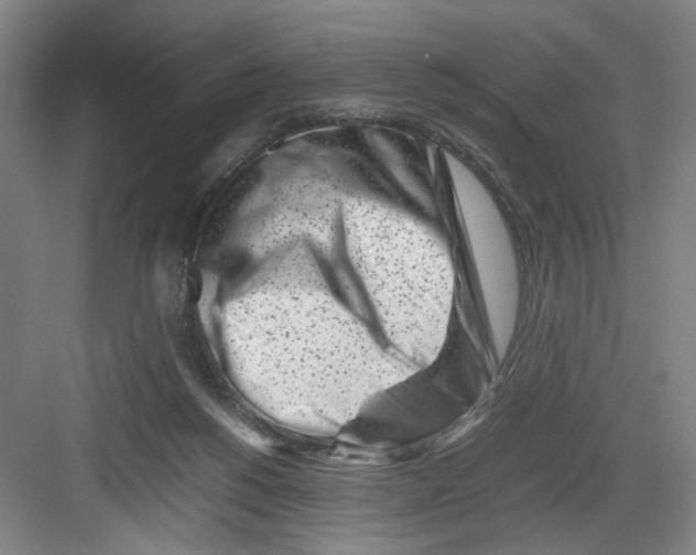 X0000082170168200702162310