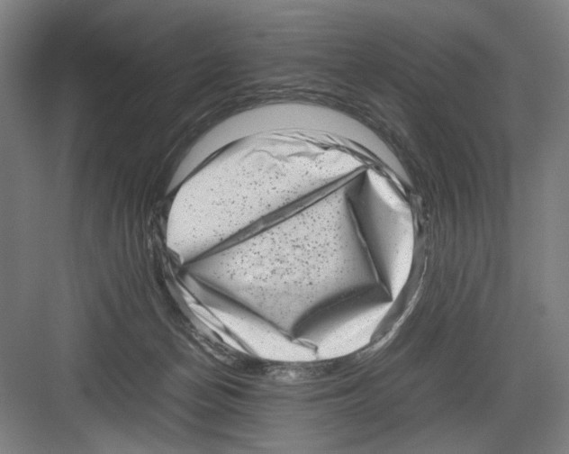 X0000082170174200702162310